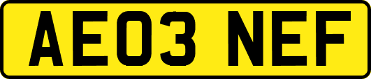 AE03NEF