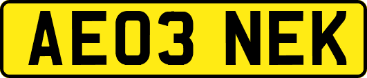 AE03NEK