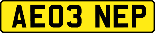 AE03NEP