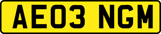 AE03NGM
