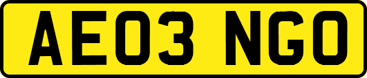 AE03NGO