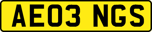 AE03NGS