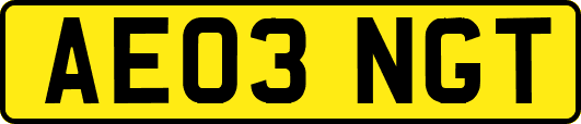 AE03NGT