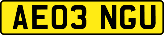 AE03NGU