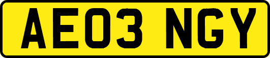 AE03NGY