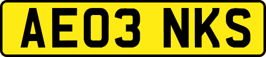 AE03NKS