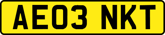 AE03NKT