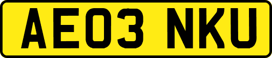 AE03NKU