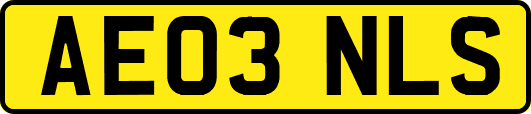 AE03NLS