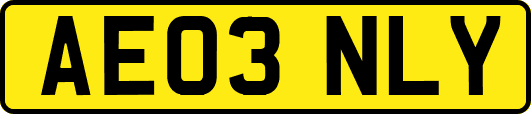 AE03NLY
