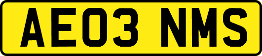 AE03NMS