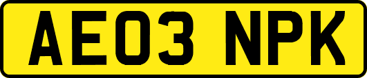 AE03NPK