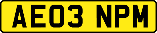 AE03NPM