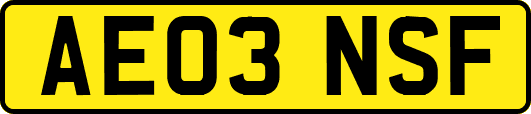 AE03NSF