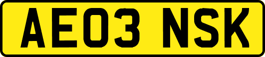 AE03NSK