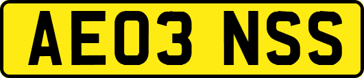 AE03NSS