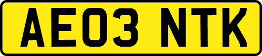 AE03NTK