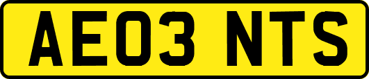 AE03NTS