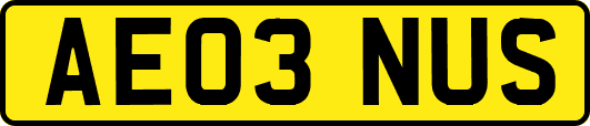 AE03NUS