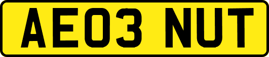 AE03NUT