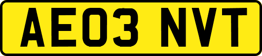 AE03NVT