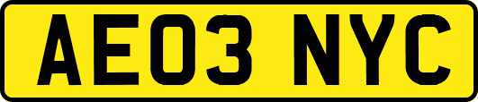 AE03NYC