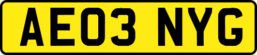 AE03NYG
