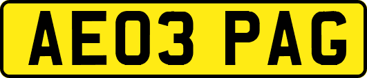 AE03PAG