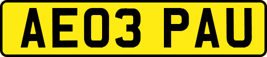 AE03PAU