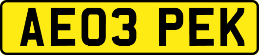 AE03PEK