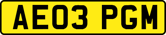 AE03PGM