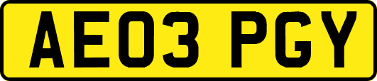 AE03PGY
