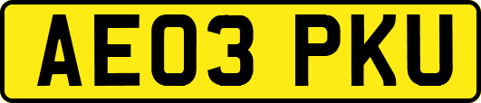 AE03PKU