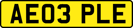 AE03PLE