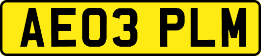 AE03PLM