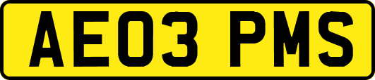 AE03PMS