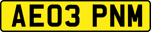 AE03PNM