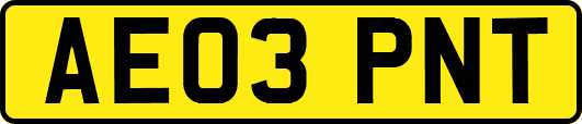 AE03PNT