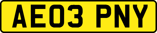 AE03PNY