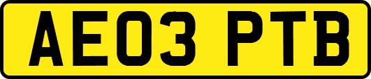 AE03PTB