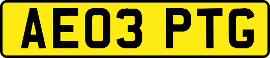 AE03PTG