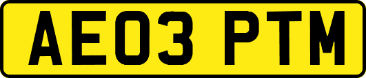 AE03PTM