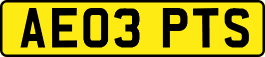AE03PTS