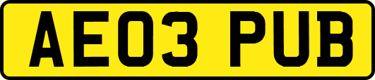 AE03PUB