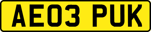 AE03PUK