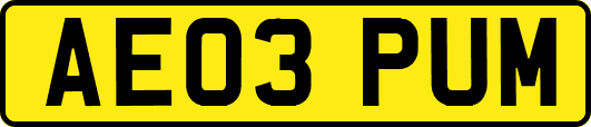 AE03PUM