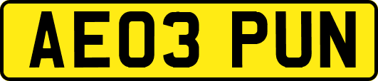AE03PUN
