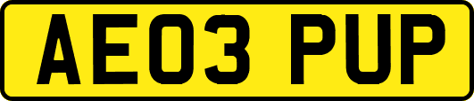 AE03PUP