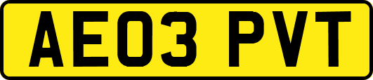 AE03PVT