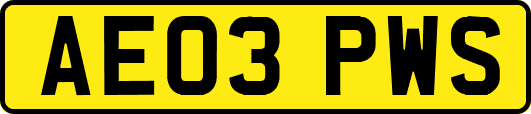 AE03PWS